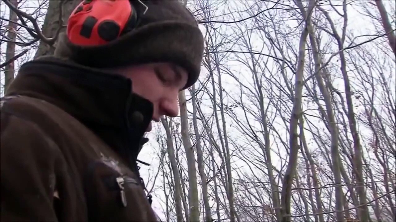 Meilleur sniper cochon sauvage