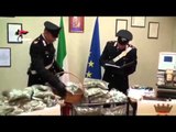 Bari - 37 chili di droga trovati dai Carabinieri tra Palese e Japigia -1- (05.12.15)