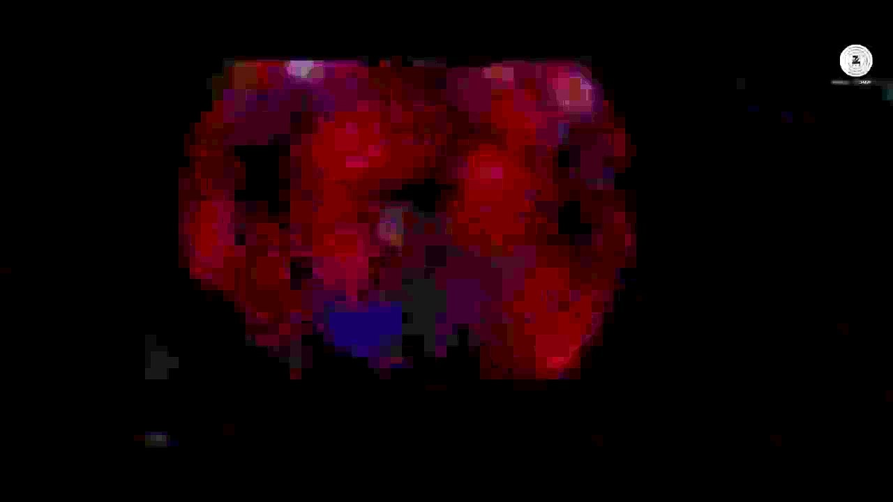 Maureen Loves u - Full Video Song HD - Rani Hazarika, Maureen Mirza, Pravin Manoj