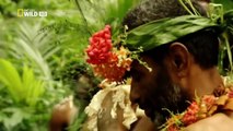 [Nat Geo Wild HD] Islands - Fiji HD (Nature_History Documentary)