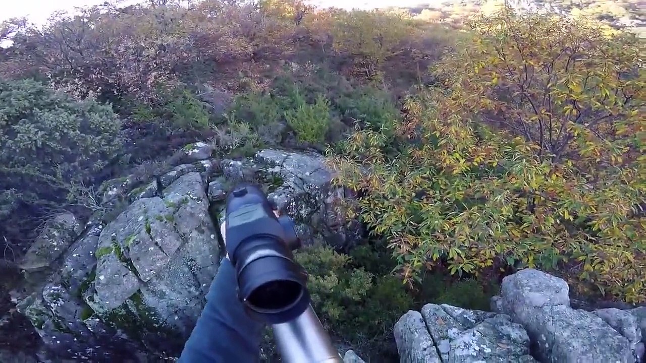 Chasse au sanglier, Ardèche, 8 Novembre 2015