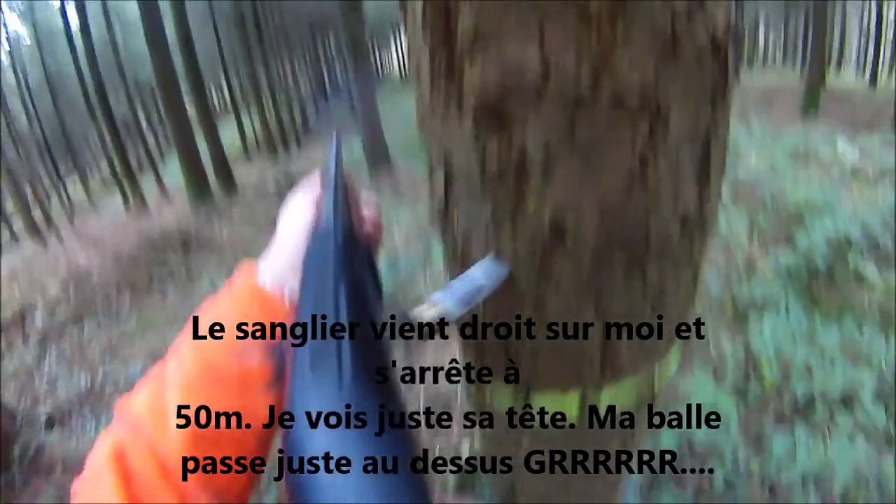 Chasse aux sanglier en Normandie le 14 11 2015