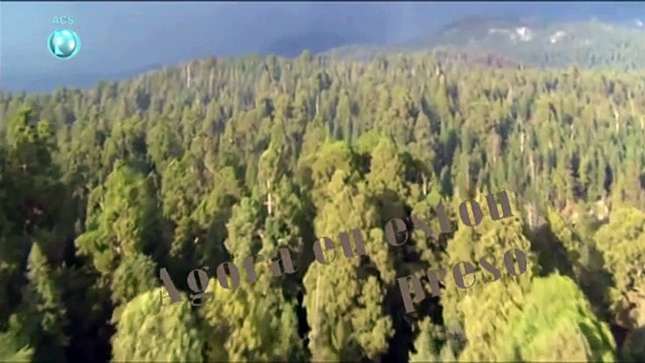 Newsboys   God's Not Dead   Traduzido Português Brasileiro  Deus não esta morto[1]