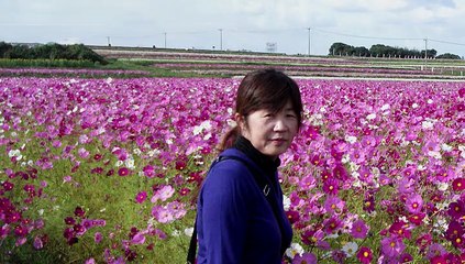 2011/10　三光コスモス園～真玉海岸