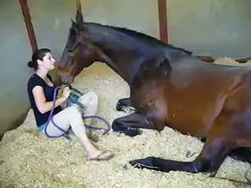 after watching this video you want a horse too