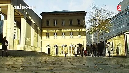 Fraude fiscale : une prime à la dénonciation envisagée