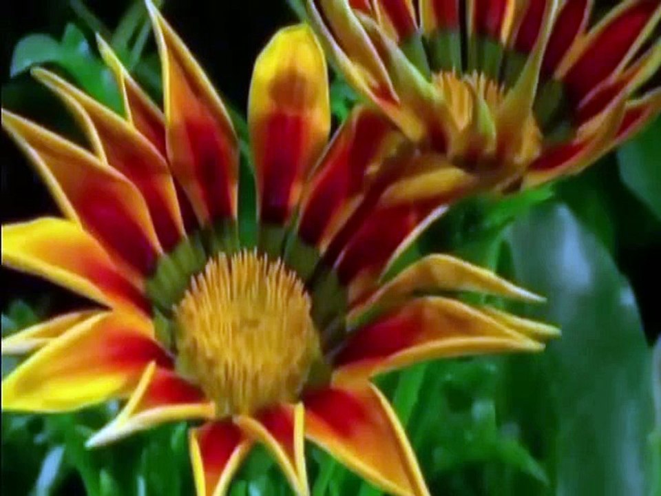 Caminhada sem rumo   Com Vinicius pacheco