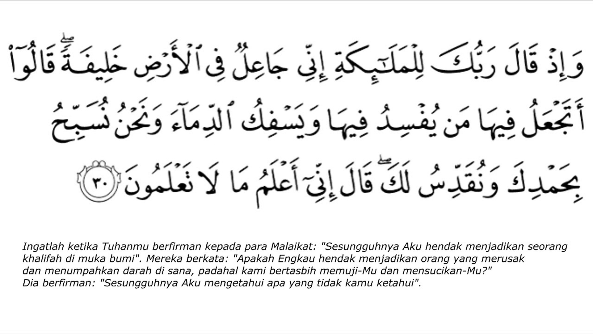 Download 84+ Contoh Surat Al Baqarah Muammar Za Terbaik Dan Terbaru