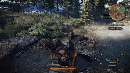 The Witcher 3: no lag in this game