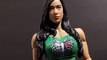 MATTEL WWE AJ LEE ACTION FIGURE REVIEW