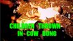 Hindus Dip Children in Cow Dung