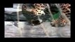 Crocodile vs Jaguar_Lion Attack Friendly Powerful and Most Dangerous  Best Wild Animal Videos Full length BBC documentary 2015 Top 5 Wild Animal Attacks Lions DEADLY ATTACK on ANIMALS - Lions fighting to death Wild HQ Lions Most Powerful and Dangerous Att