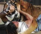 Full length BBC documentary 2015 Top 5 Wild Animal Attacks Lions DEADLY ATTACK on ANIMALS - Lions fighting to death Wild HQ Lions Most Powerful and Dangerous Attack on other Animals  Best Wild Animal VideosHD