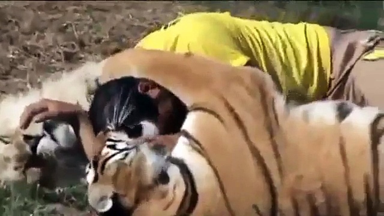 Парень дружит с серьезными хищниками!