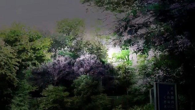 Mi TOP 10- series anime de Lesbianas -Parte 1-.mp4