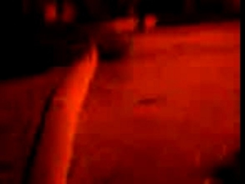 Deadd bush crew-dbc-flo la merde in a bush 1