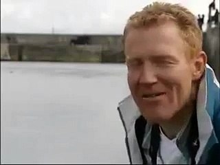 Dog and dolphine swimming and playing together