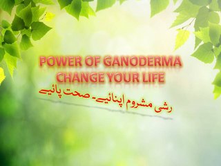 Ganoderma changes life