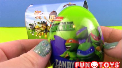 Paw Patrol Mailbox Surprise!SURPRISE EGGS BLIND BAGS  Minecraft Disney Princess  LPS  SpongeBob