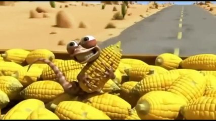 Oscars Oasis Episode 29, 28, 27, 26, 25