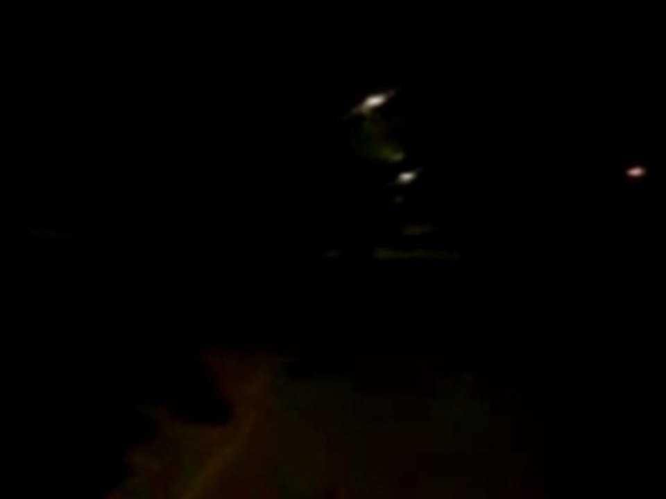 Deadd bush crew-dbc-pablito in a bush