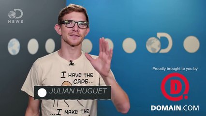 Why Don’t Scientists Use Female Mice?