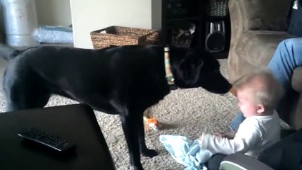 SO Much Fun with Black Dog