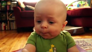 Top 10 Funny Baby and Kids Best Video of 2015 ►Try to do not Laugh