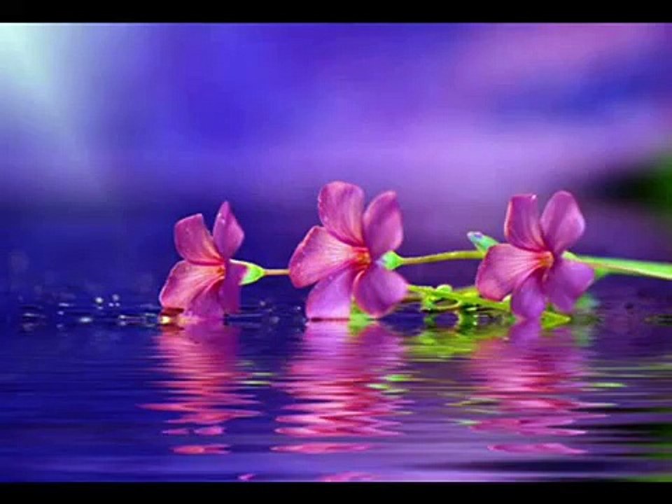 ♥♥ ♥♥ Kabhi Aansoo Kabhi Khushboo ♥♥ ♥♥ - YouTube