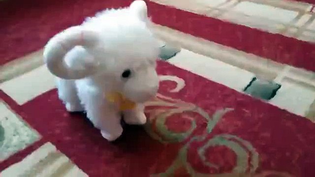 Купила ребенку игрушку, смеялась до слез)))