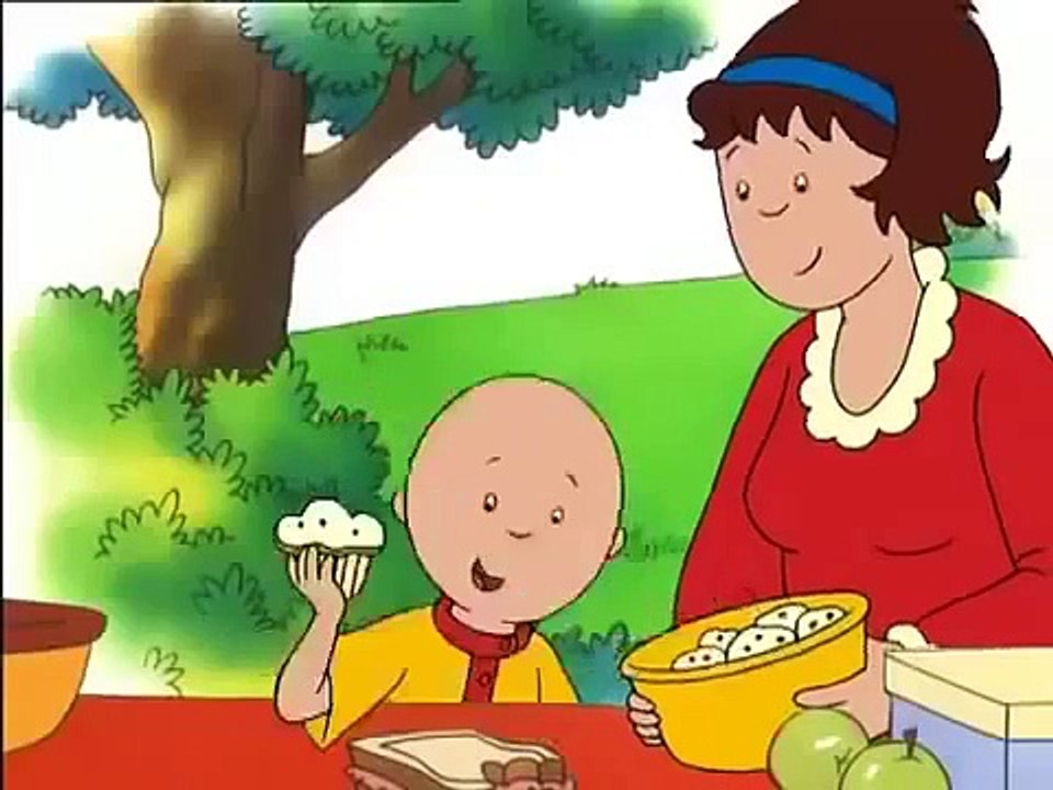 DVD3 Caillou capitulos vídeos Discovery kids latino en español