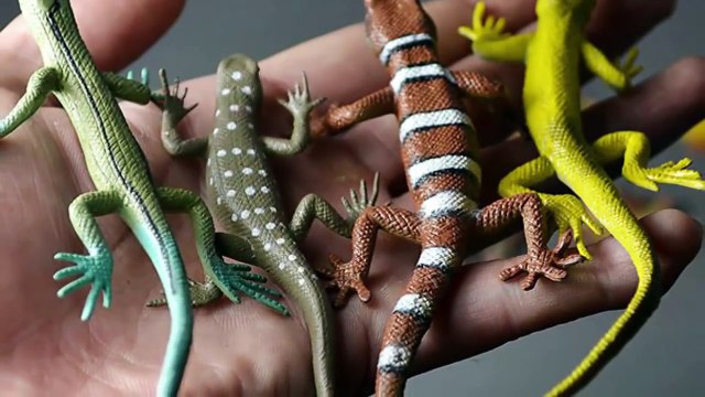 [HD] Hai Con Thằn Lằn Con - Nhạc Thiếu Nhi Hay Nhất - Giúp Bé Ăn Ngon Miệng