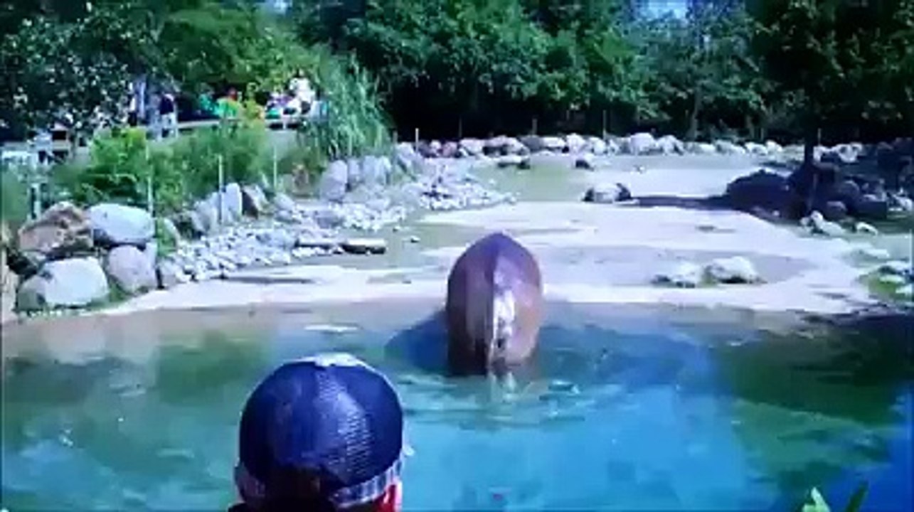 Le plus gros pet au monde