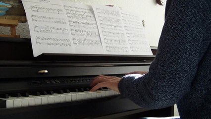 The cinematic orchestra-Arrival of the birds du film Les ailes pourpres(piano solo)
