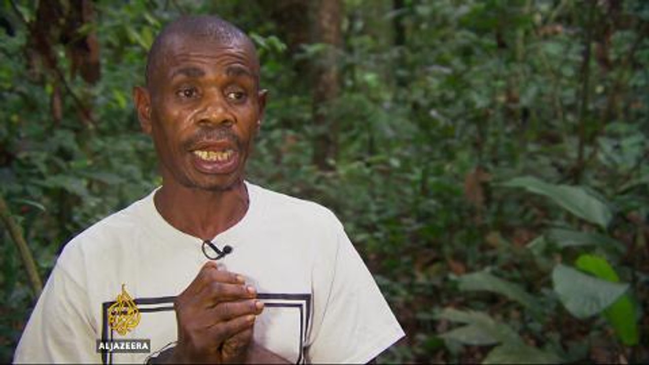 Climate change threatens Congo's haven for endangered apes