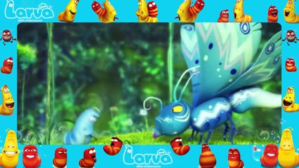 Larva funny cartoon [ Larva New Full Episodes 50 ] larva 2015 | lover lavar