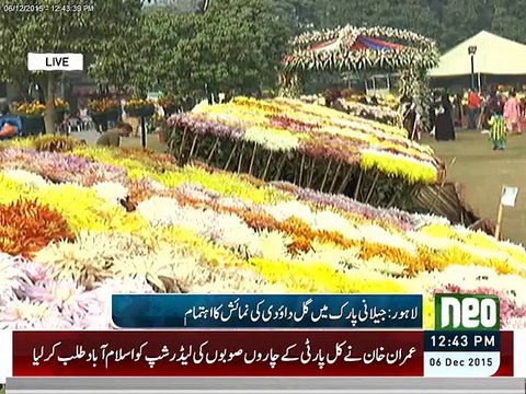 Jillani park flower exhibition report by Ruba Arooj Neo Tv