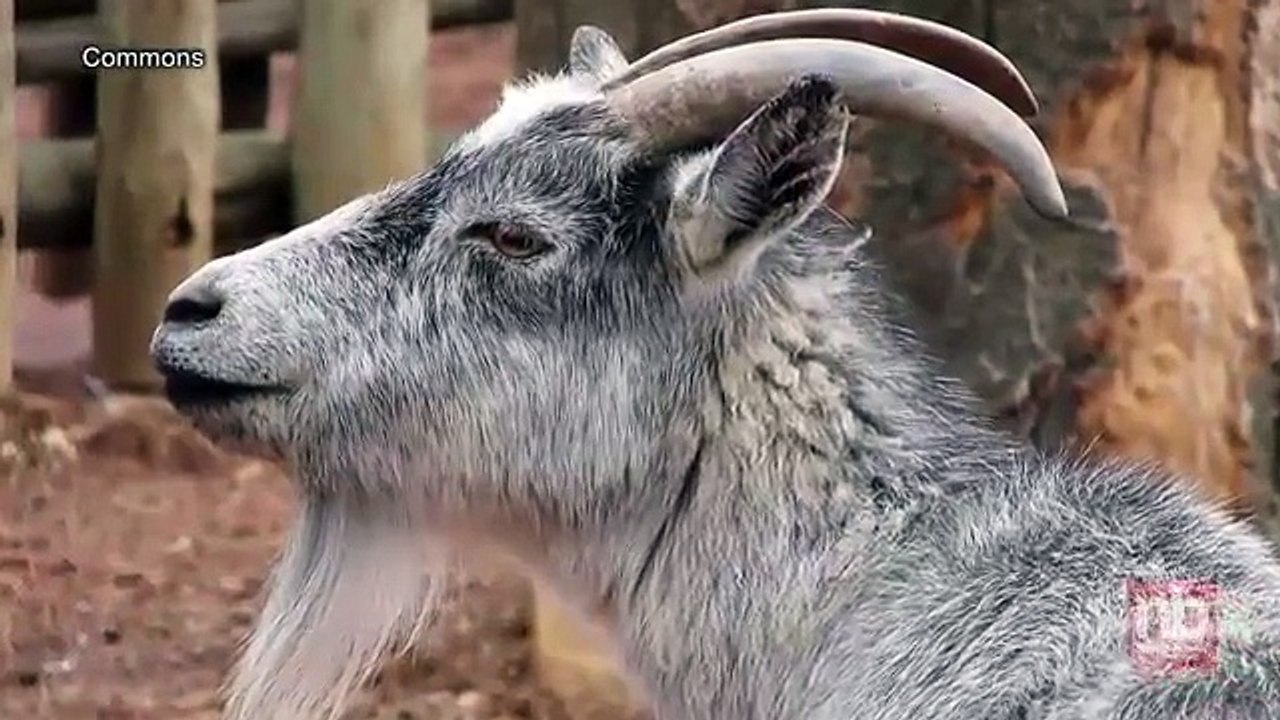 New World Map Shows Most Popular Google Searches Relative to Each Country