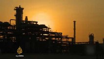 OPEC to maintain oil output despite price drops