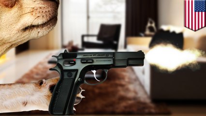 Dog apparently shoots Ohio pizza delivery man in the leg