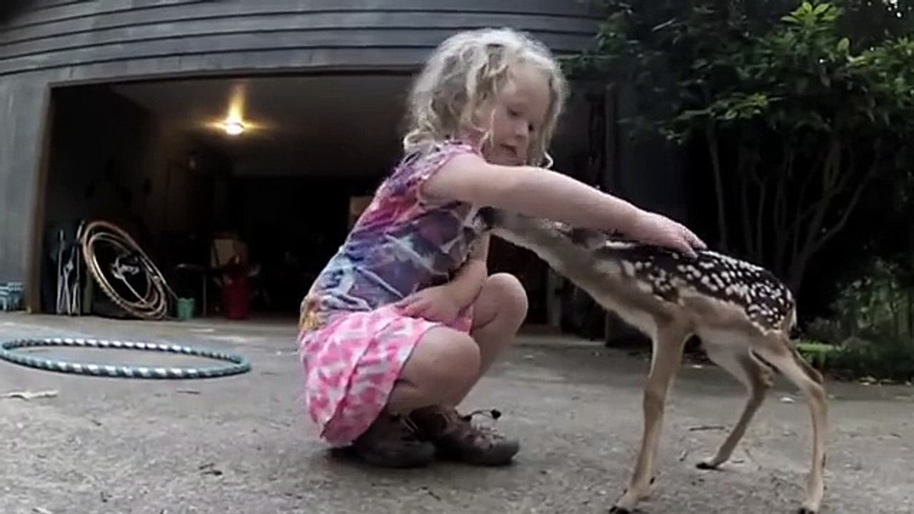 The Deer Whisperer