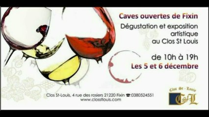 Dégustation Exposition Clos St Louis FIXIN
