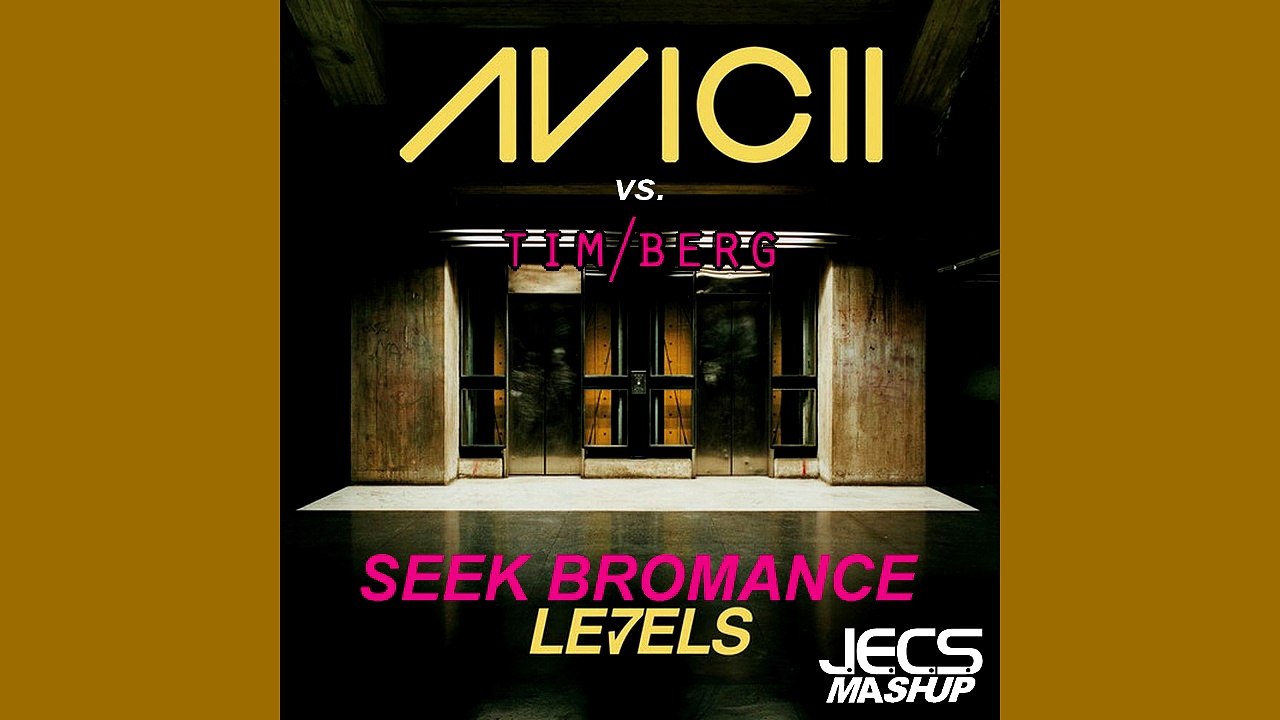 Avicii vs. Tim Berg — Seek Bromance Levels [JECS Short Level Mashup]