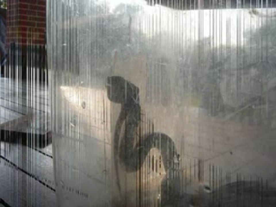 serpent