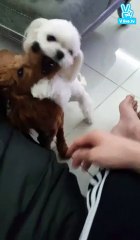 [151206] Junjin's 38th Broadcast