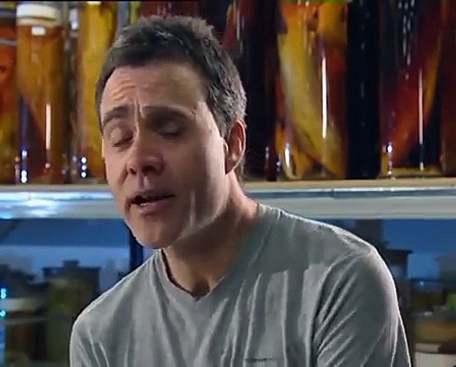 #5 Record Breaking Fish - Roach , Perch, & Zander Part-1 Fish Fishing Video