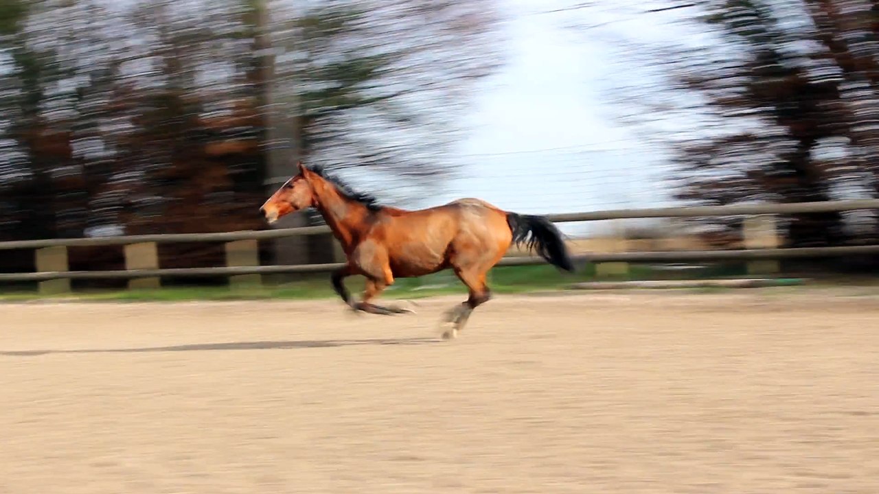 15-12-05 - Défoulaaaage !
