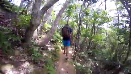 Aha Falls Cliff Jumping Okinawa Prefecture, Japan