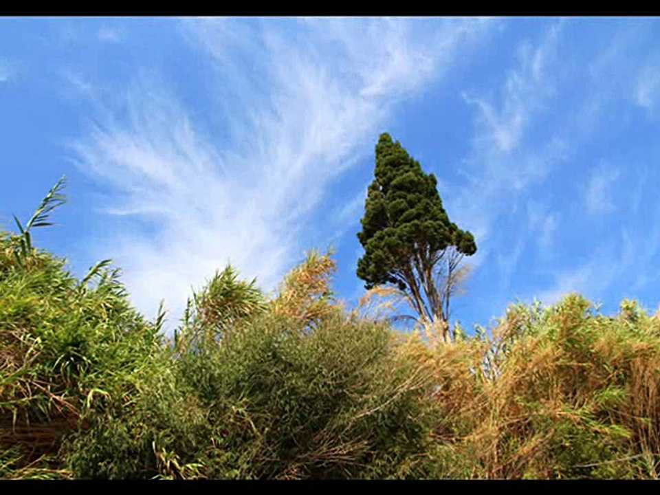 Ja jestem nocą a Ty dniem -dla mojego męża B.