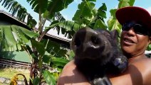 KAMA THE SURFING PIG (WITH GoPro!) | Whats Trending Now!